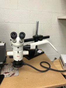 Leica MZ6 Microscope