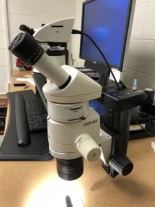 Leica MZ6 Microscope