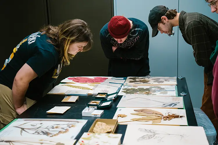 A group of people looking at Herbarium specimens at an event